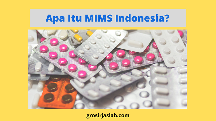 apa itu mims indonesia