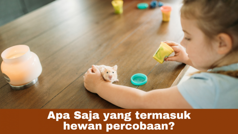 Apa Saja yang termasuk hewan percobaan
