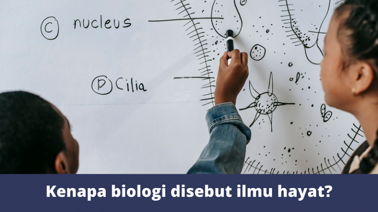 kenapa biologi disebut ilmu hayat